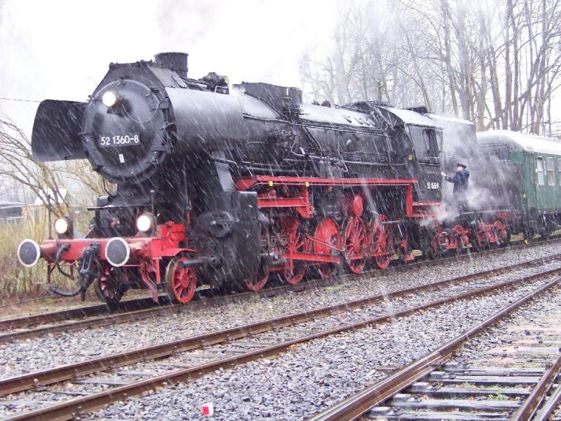 Ostereiersuchzug